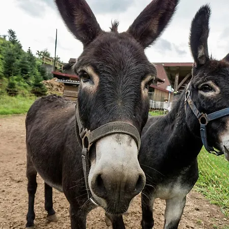 Ferien Auf Dem Bauernhof 2 Апартаменты *